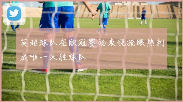 英超球队在欧冠赛场表现抢眼热刺成唯一未胜球队