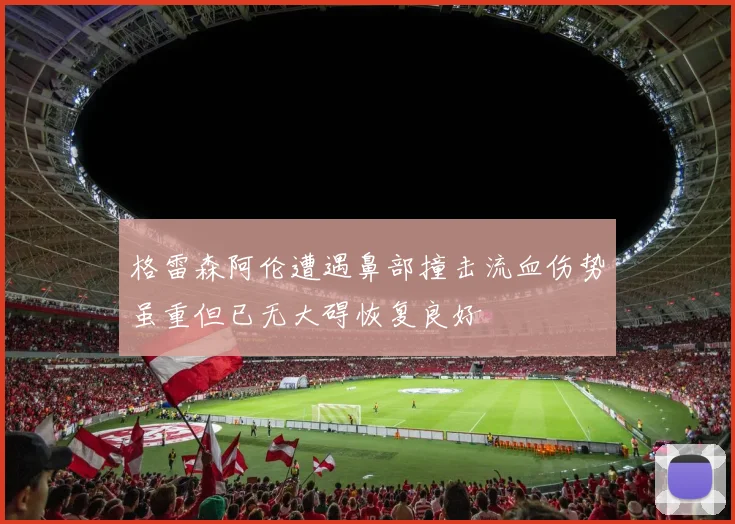 格雷森阿伦遭遇鼻部撞击流血伤势虽重但已无大碍恢复良好