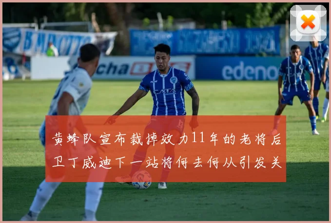 黄蜂队宣布裁掉效力11年的老将后卫丁威迪下一站将何去何从引发关注